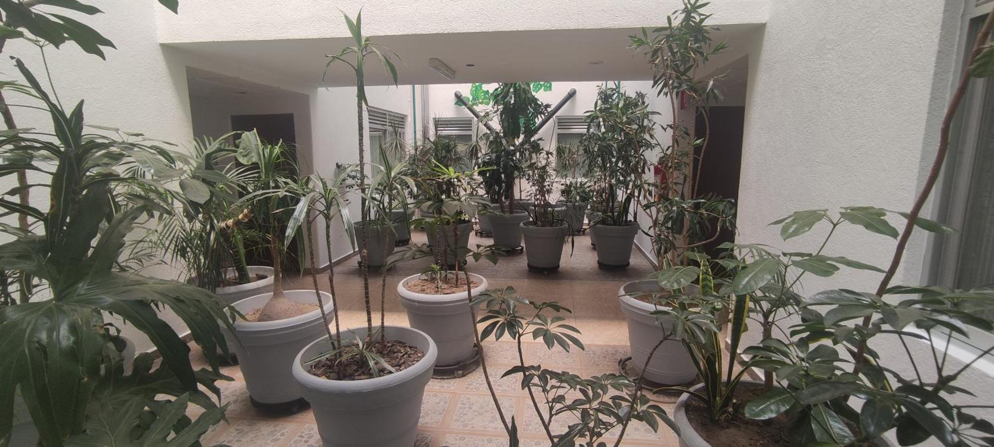 Hotel Habana Meksika Dış mekan fotoğraf