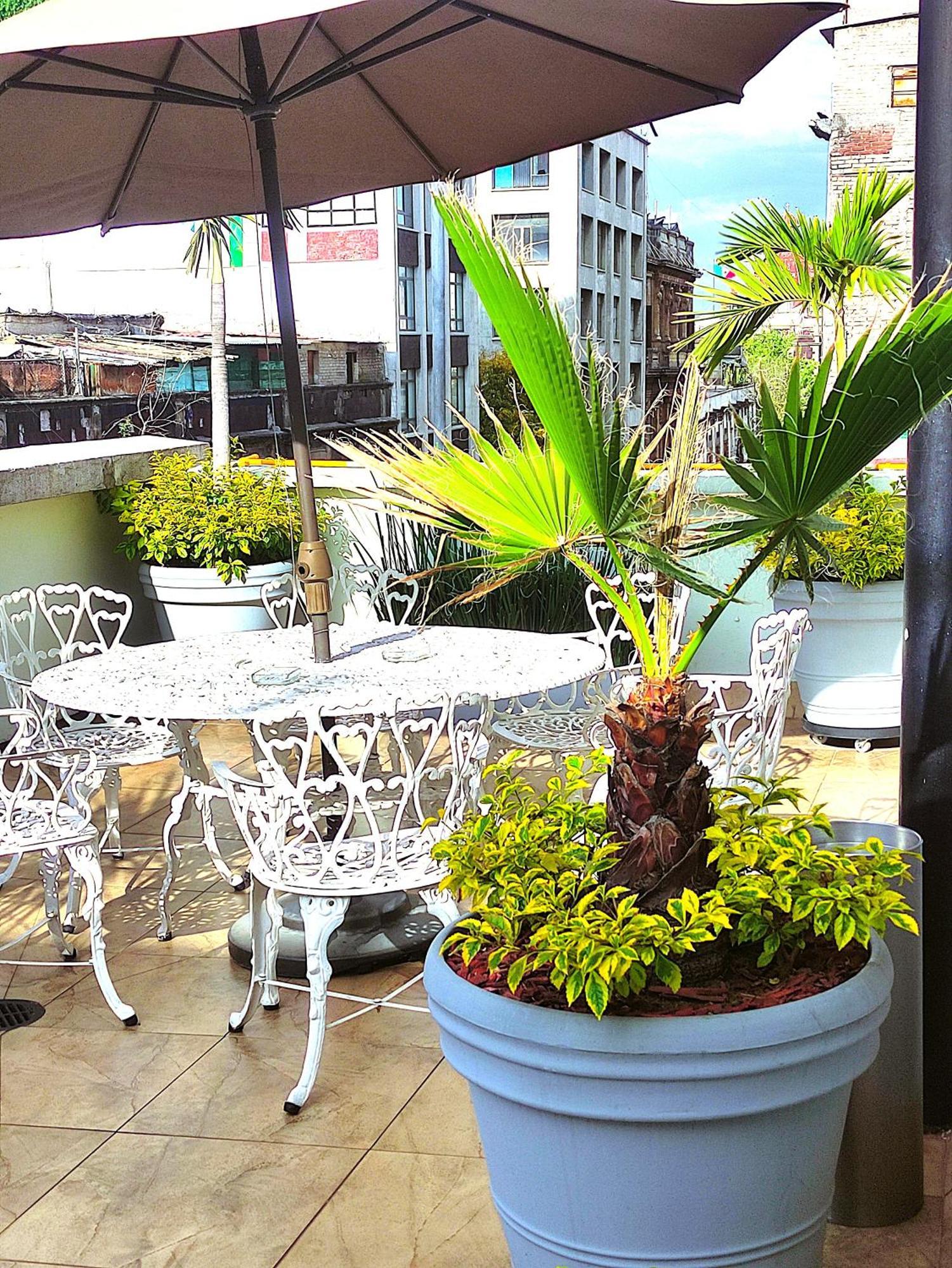 Hotel Habana Meksika Dış mekan fotoğraf