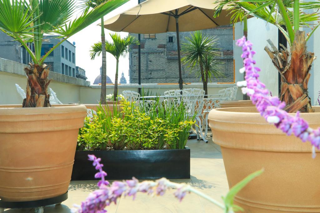 Hotel Habana Meksika Dış mekan fotoğraf